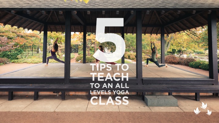 Read more about the article 5 Things to Help You Teach to an All-Levels Yoga Class