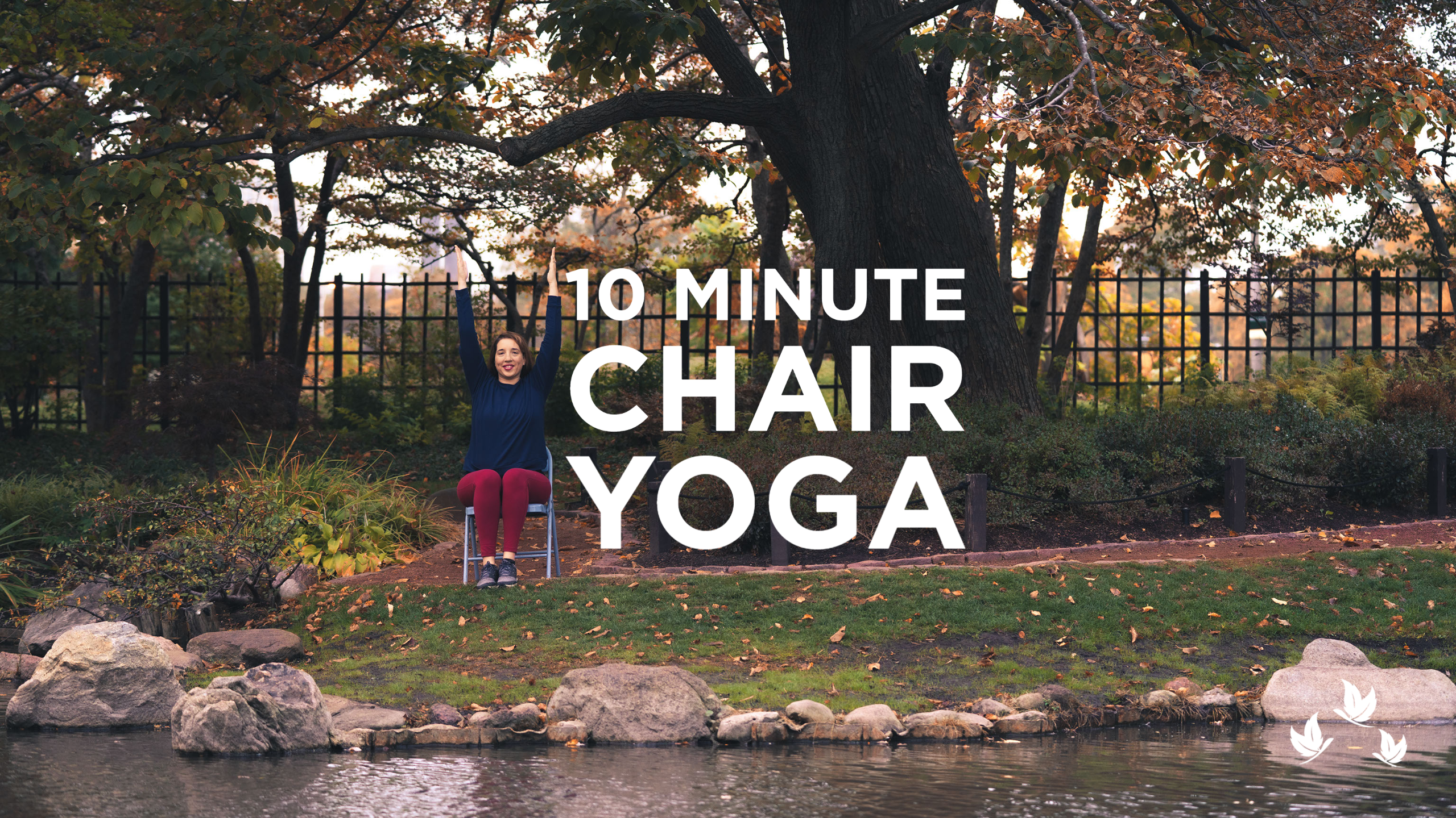 Read more about the article A Ten Minute Chair Yoga Sequence for Beginners