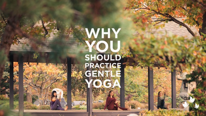 Read more about the article Why You Should Practice Gentle Yoga